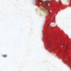 M-N Caron ''Rouge 3''